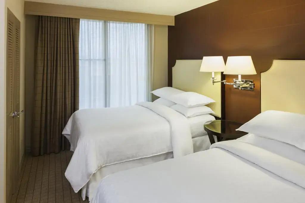 hotel image 16