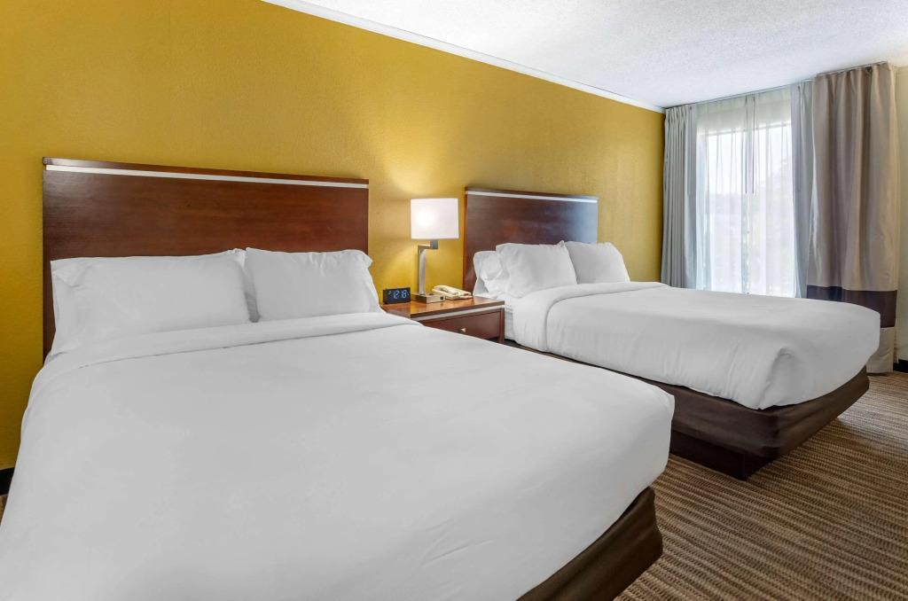 hotel image 77