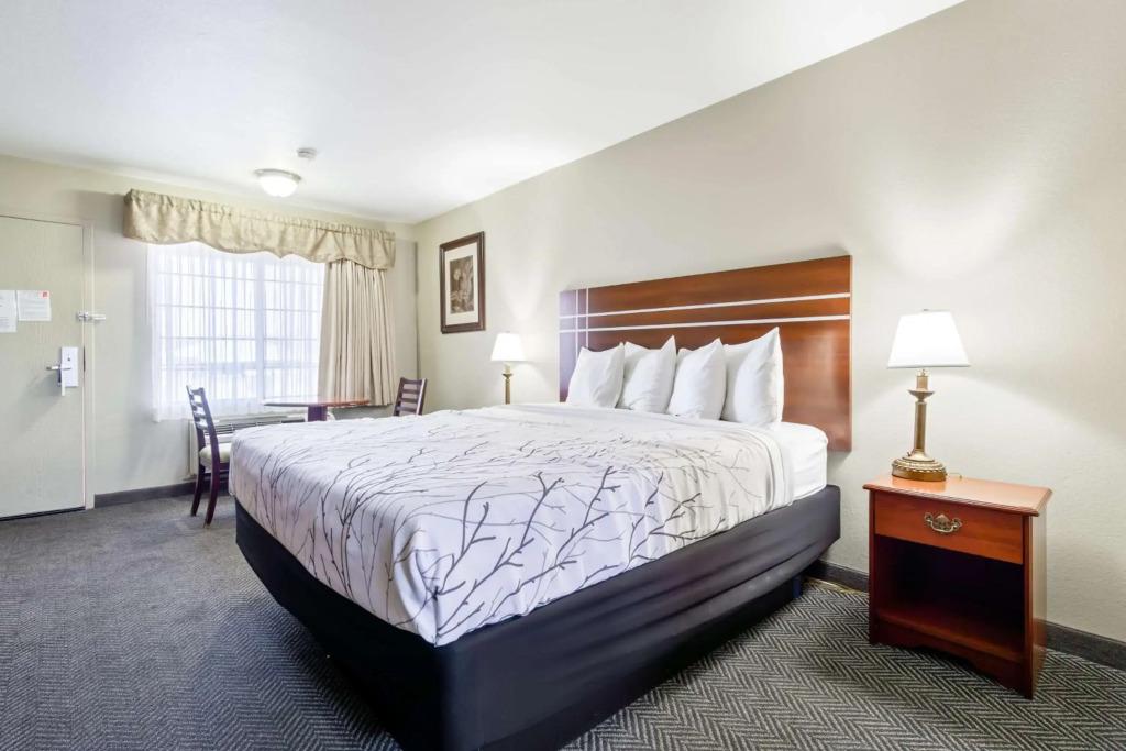 hotel image 23