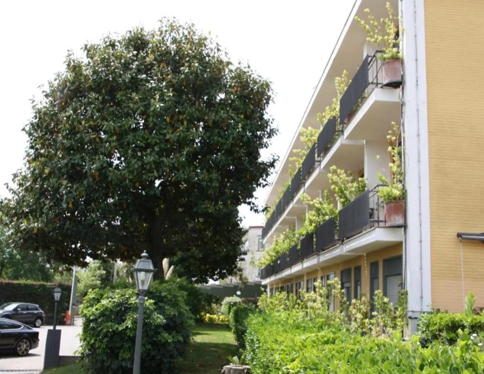 hotel image 20