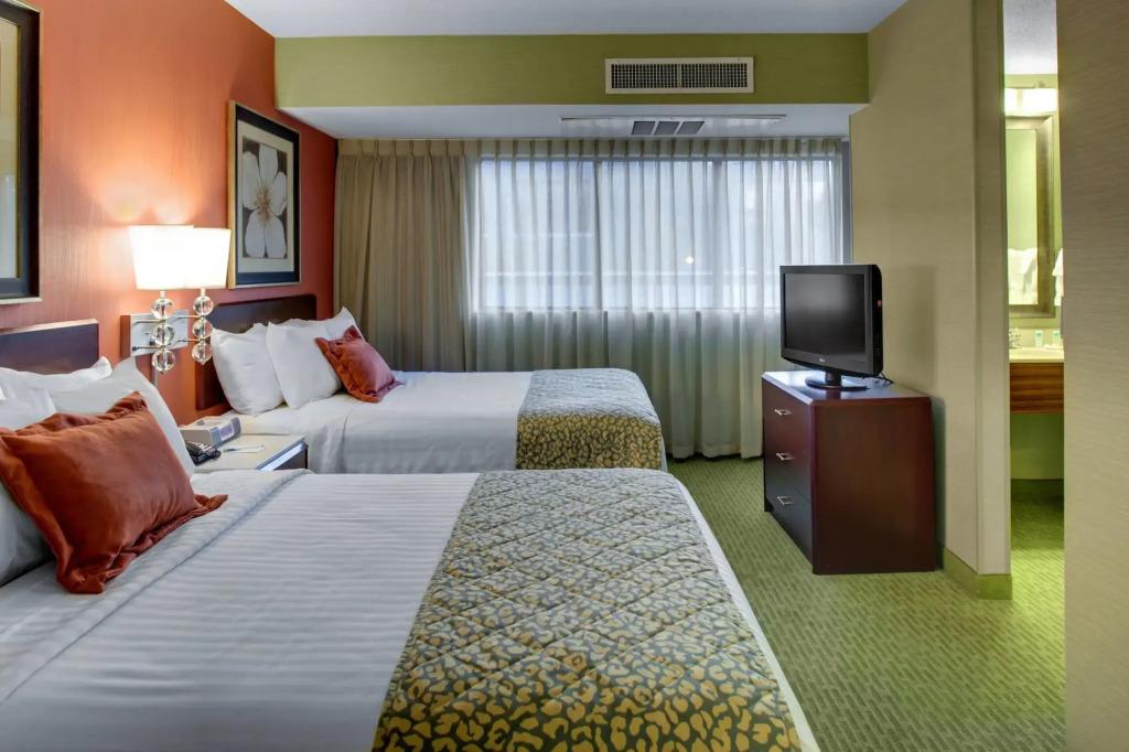 hotel image 11