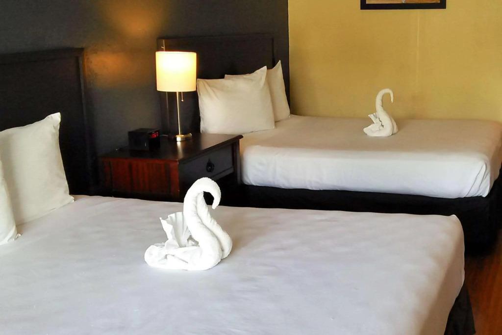 hotel image 15