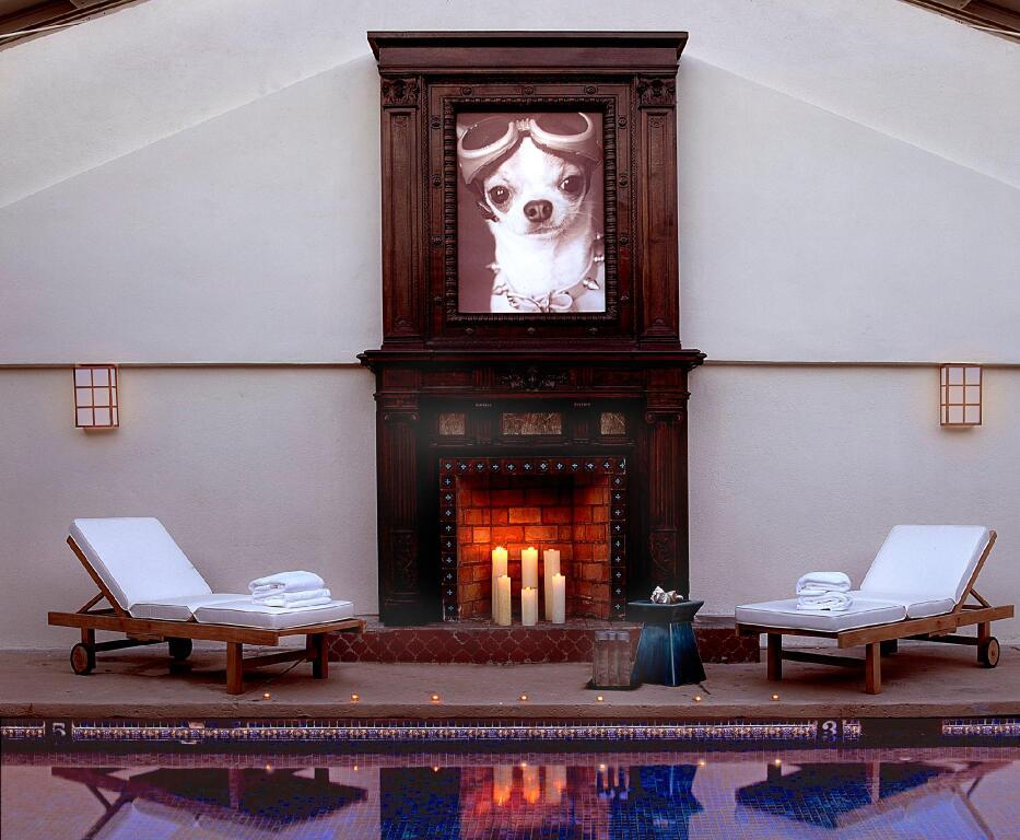 hotel image 15