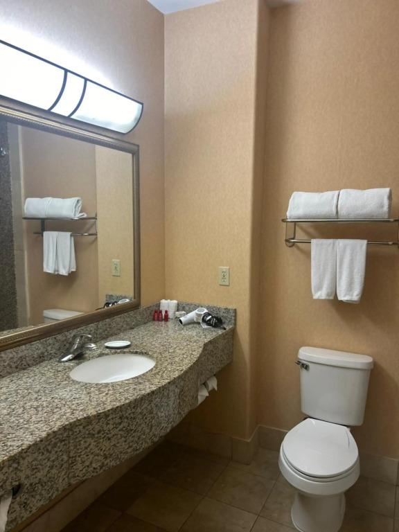 hotel image 21