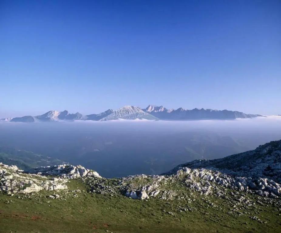 hotel image 35