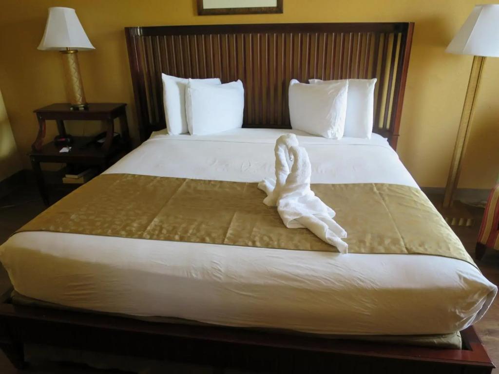 hotel image 20