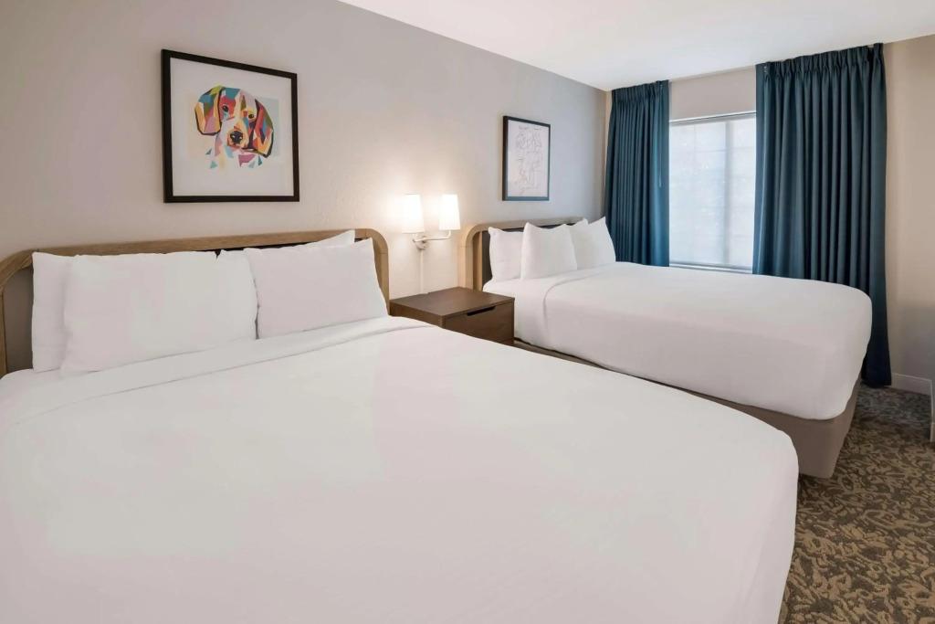 hotel image 22