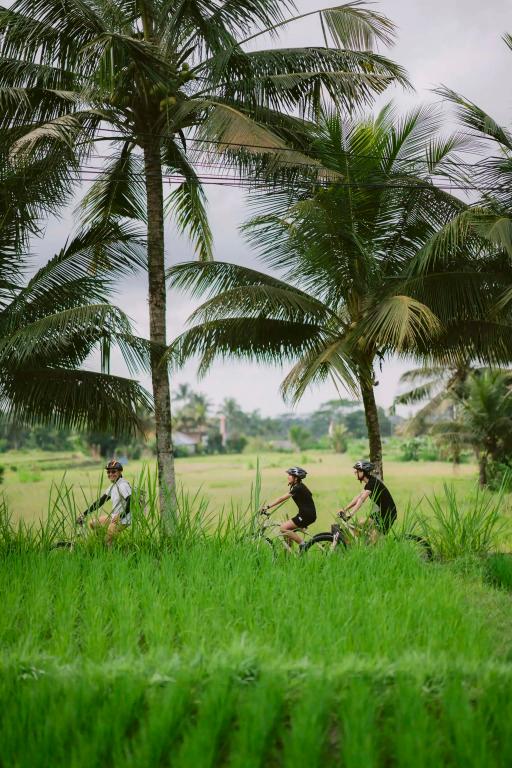 hotel image 34
