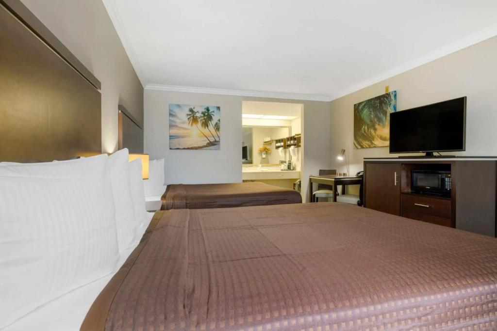 hotel image 24