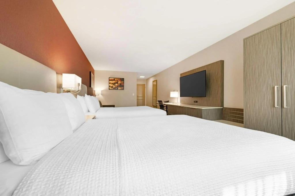 hotel image 49