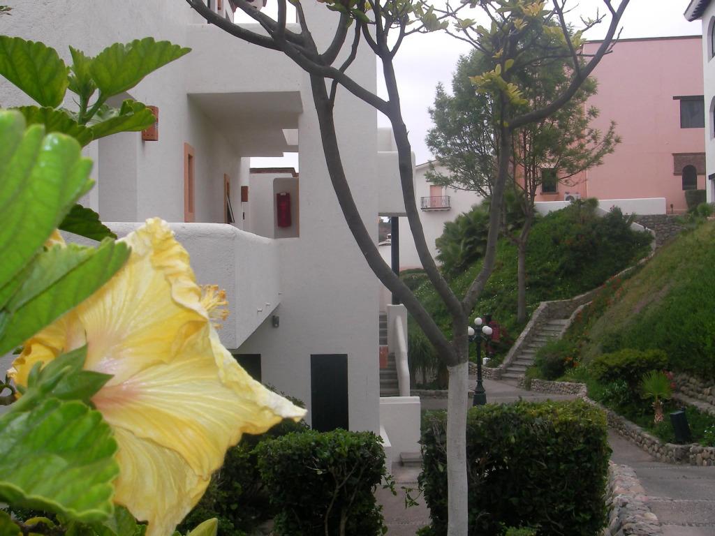 hotel image 20