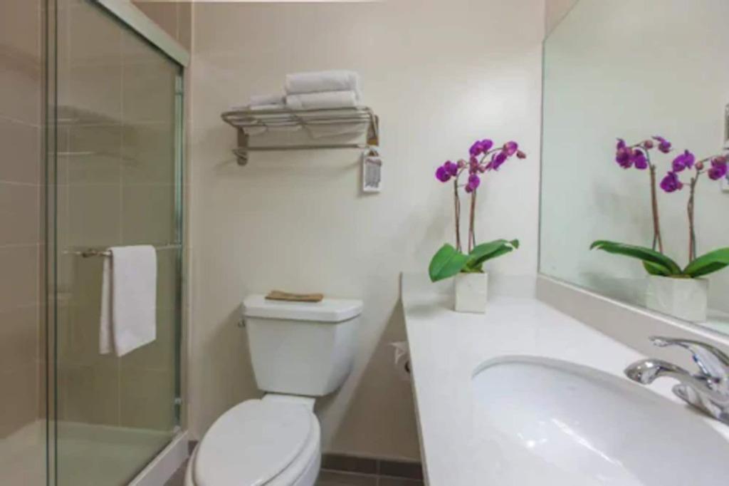 hotel image 27
