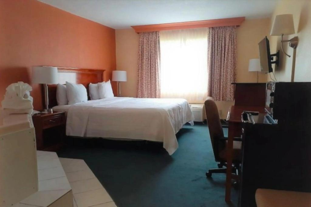 hotel image 8