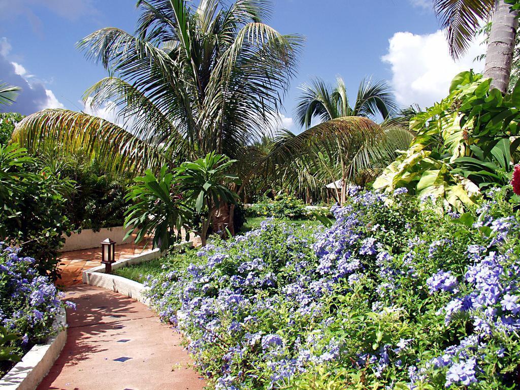 hotel image 16