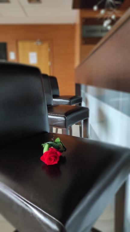 hotel image 9