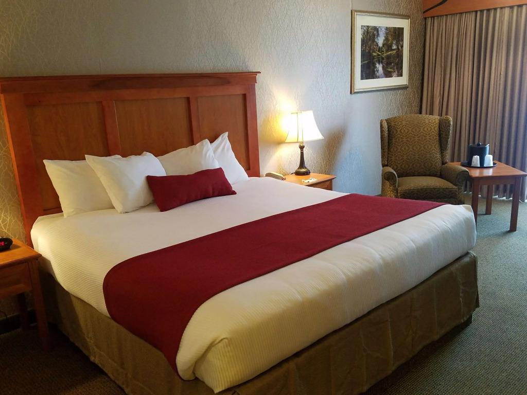 hotel image 42