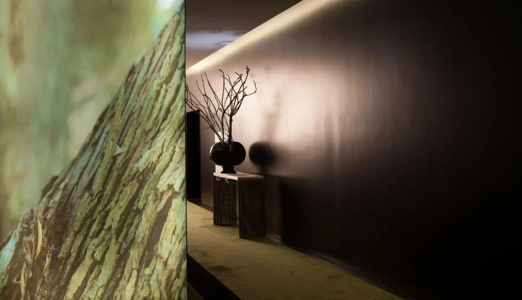 hotel image 21