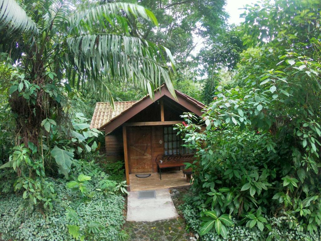 hotel image 8