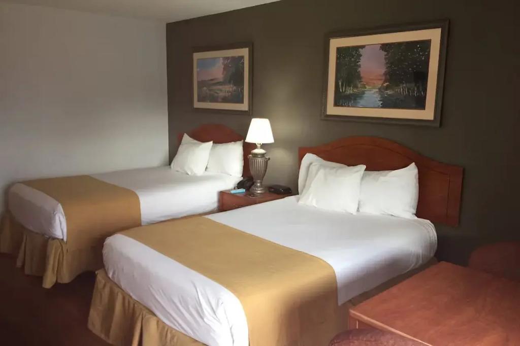 hotel image 21