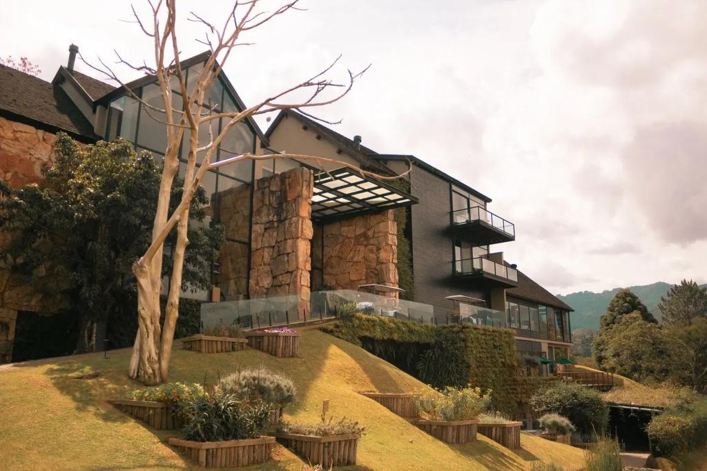 hotel image 19