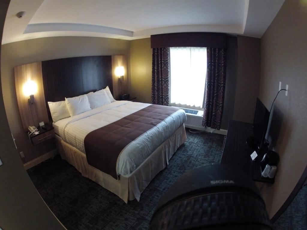 hotel image 9