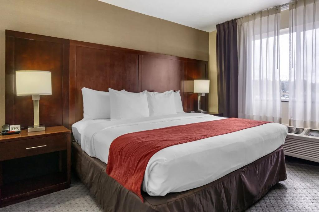 hotel image 43