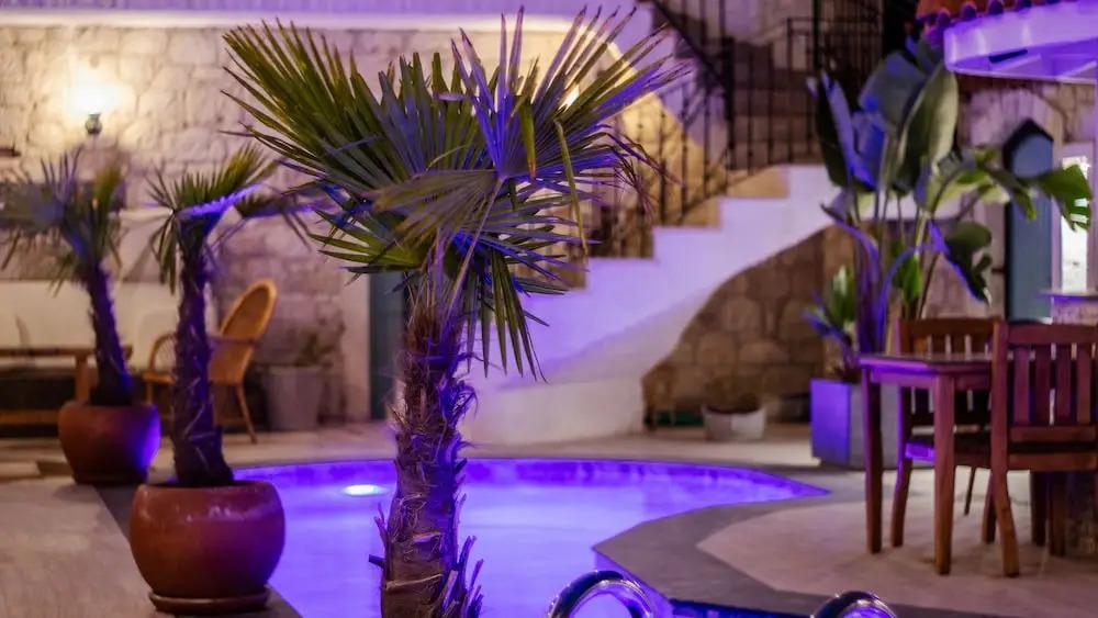 hotel image 12