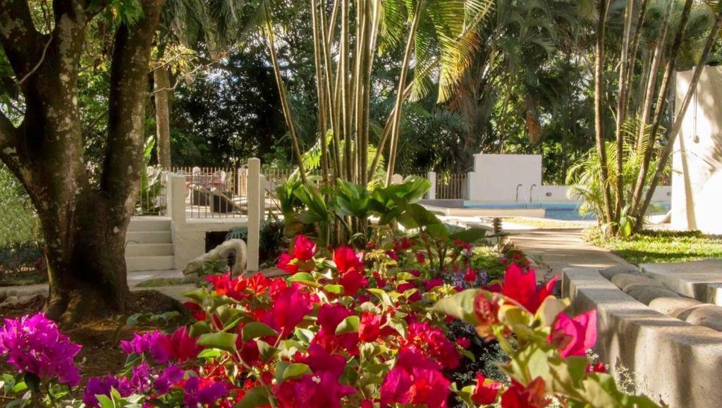hotel image 10