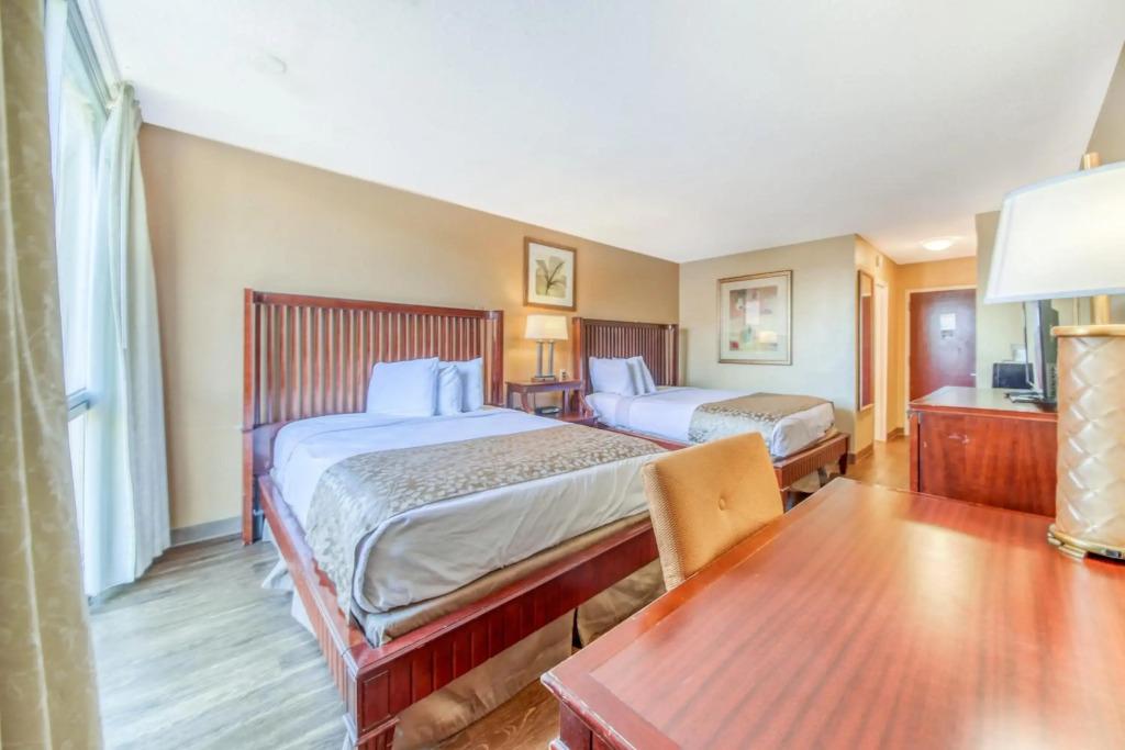 hotel image 40