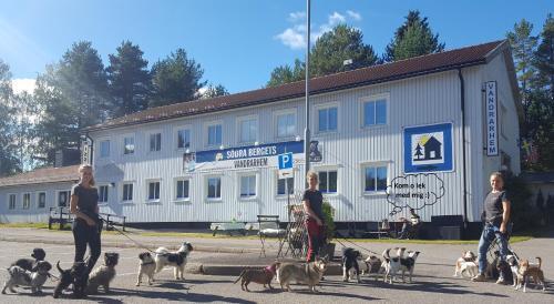 hotel image 19