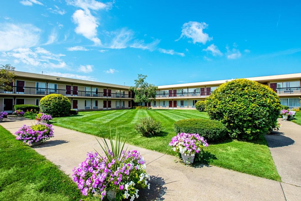 hotel image 11