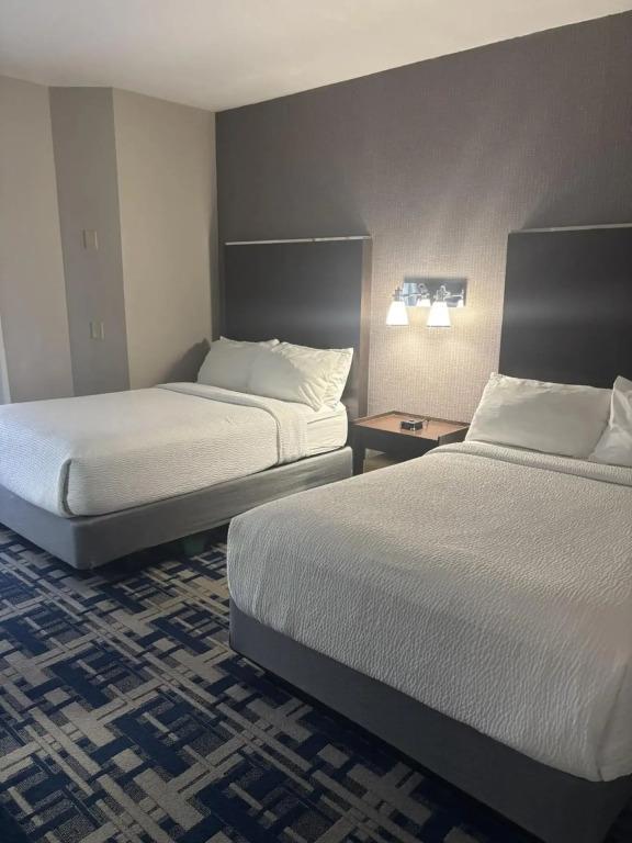 hotel image 21