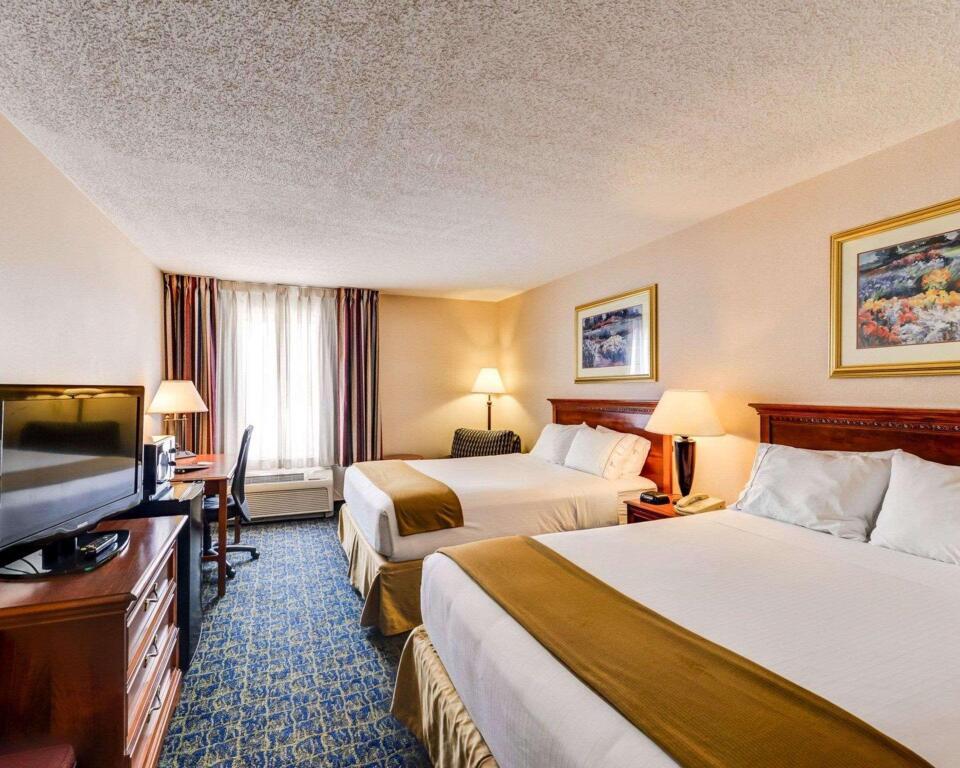hotel image 8
