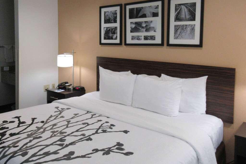 hotel image 23