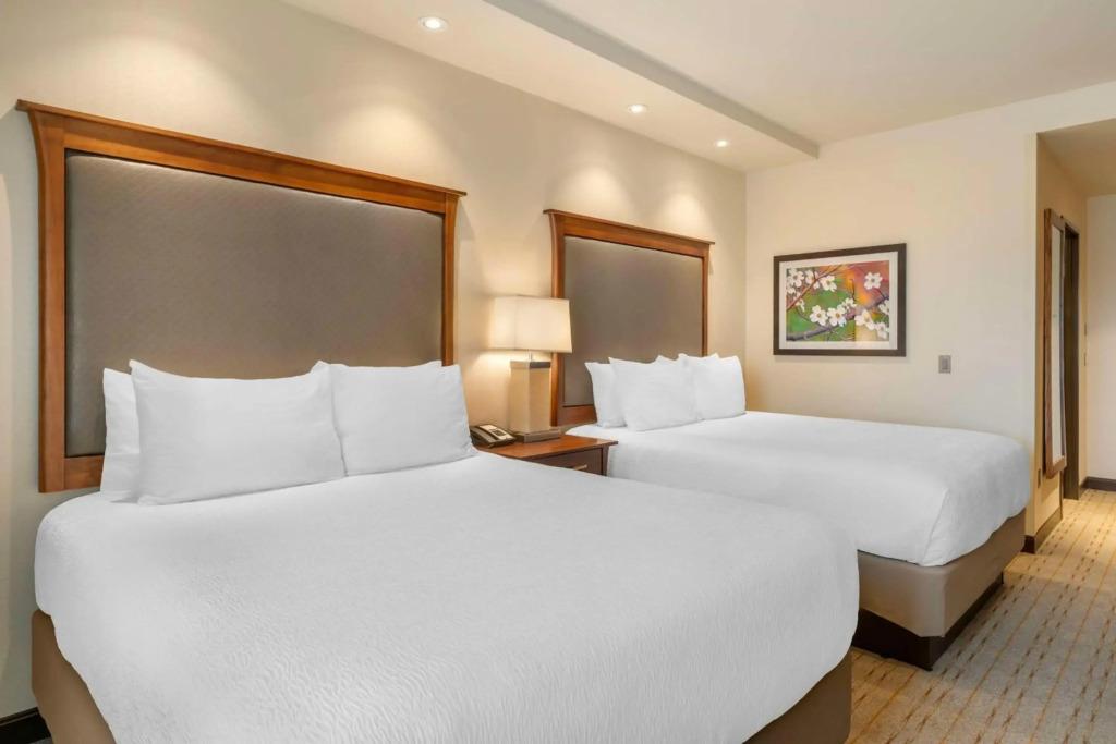 hotel image 25
