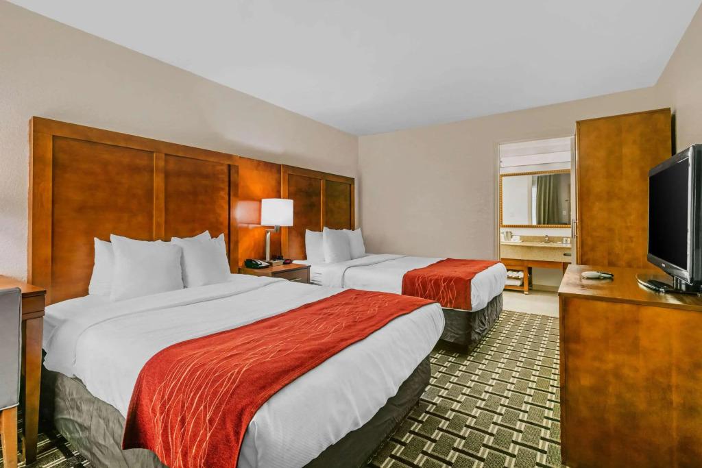 hotel image 43
