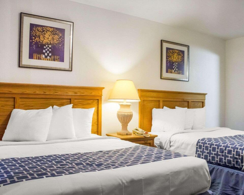 hotel image 378