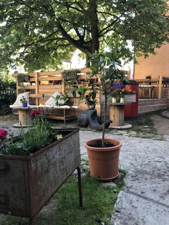 hotel image 13