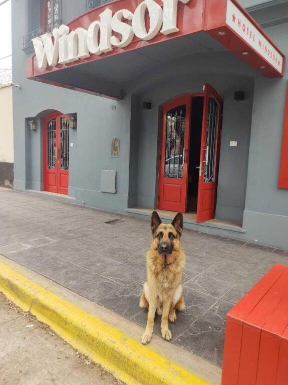 hotel image 10