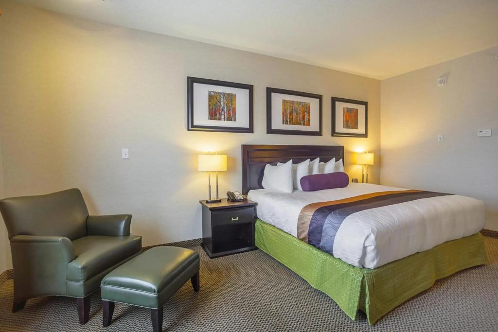 hotel image 8