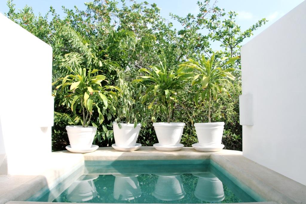 hotel image 30