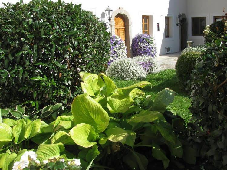 hotel image 21