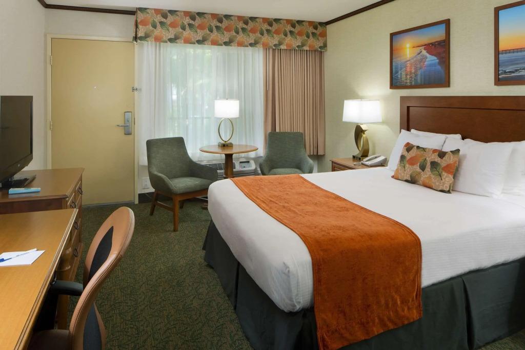hotel image 60