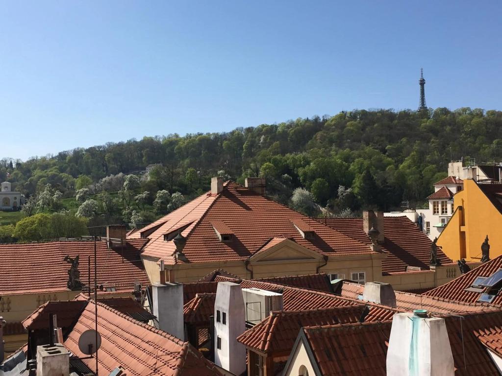 hotel image 16