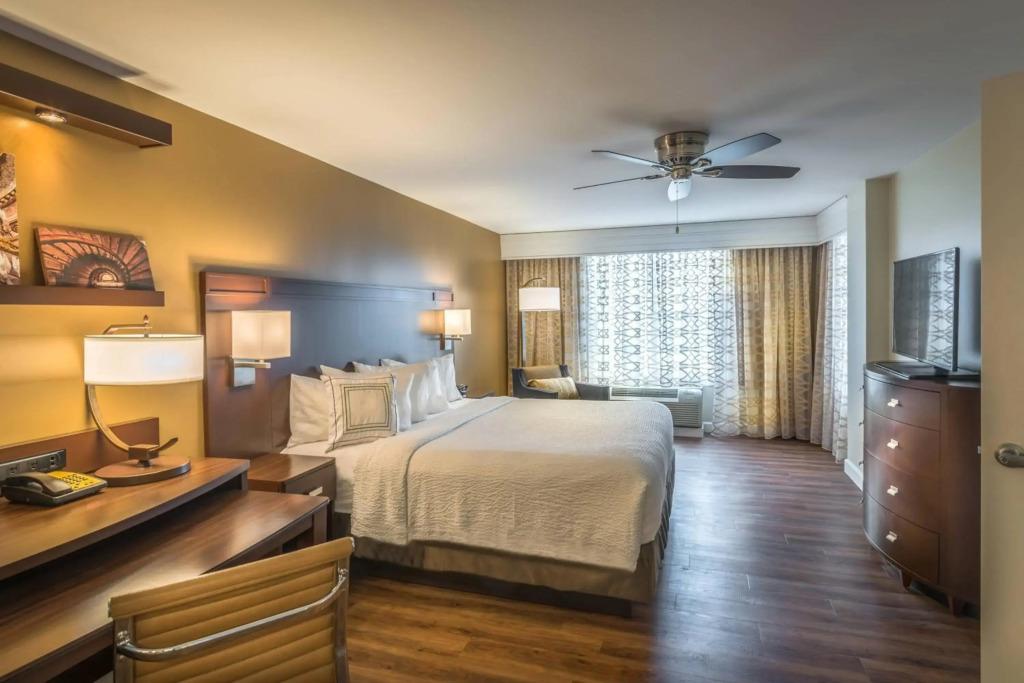 hotel image 17