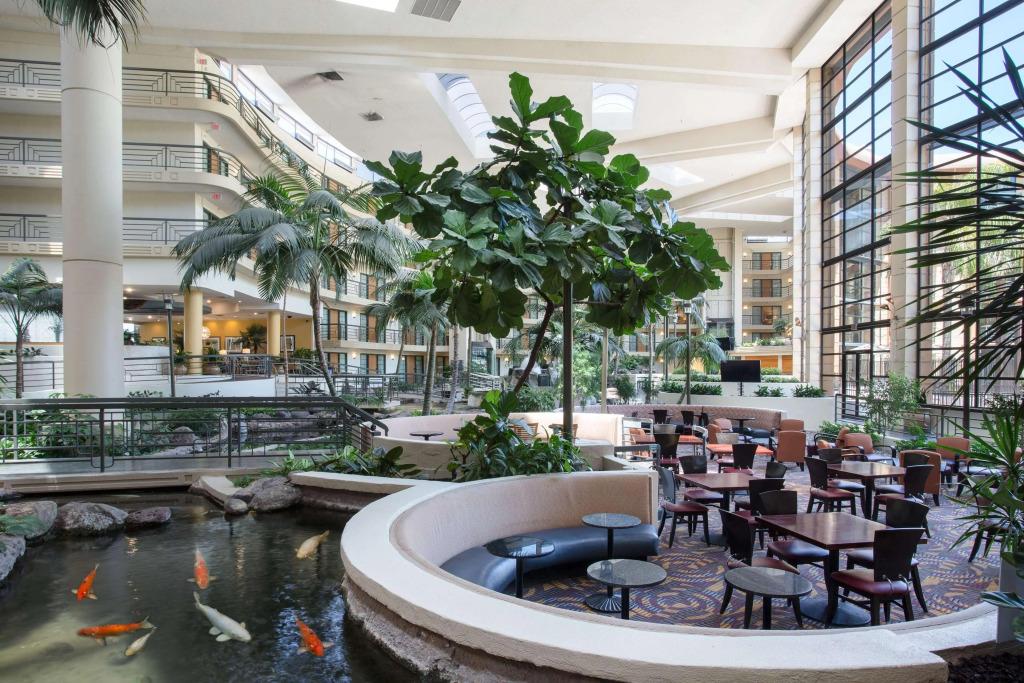 hotel image 21