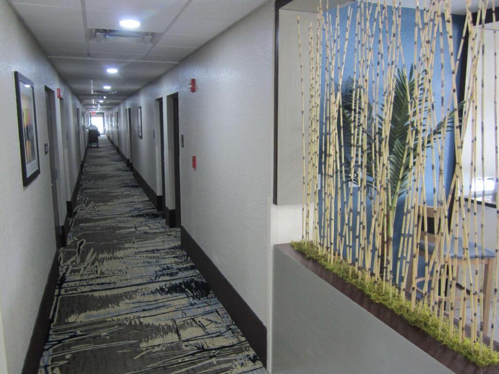 hotel image 20