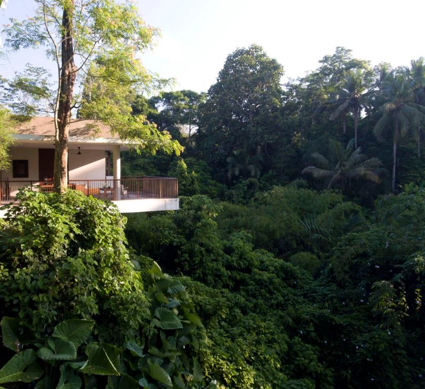 hotel image 21