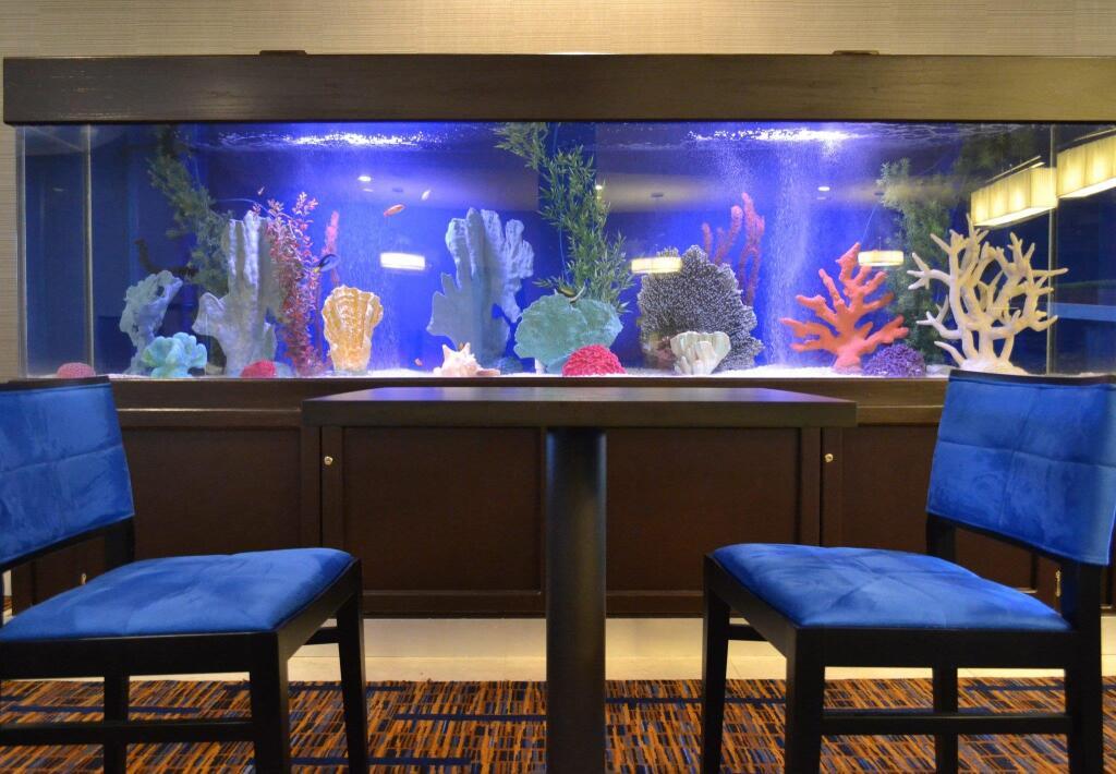 hotel image 30