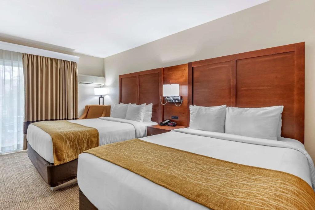 hotel image 19